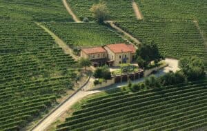Wine Tasting Barolo (1)