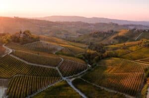 Barolo Wine Region