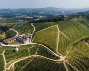 Wine Tasting in Barolo (1)